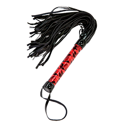 Passionate flogger