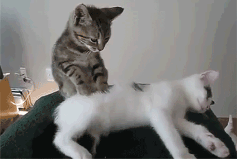 5. You know how to relax